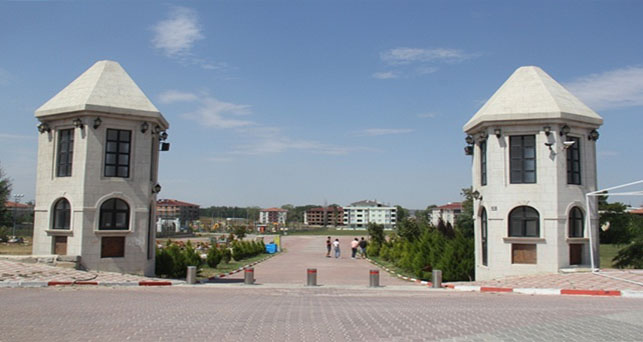 Festivale sayılı günler kaldı