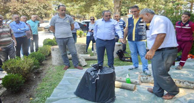 İstiridye Mantarı yetiştirmeyi öğrendiler