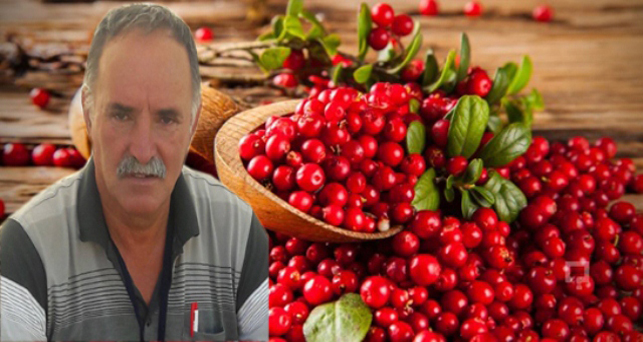 “Pınarhisar’da Kızılcık ağacı ekelim”