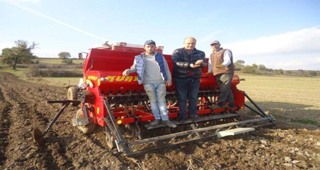 Yeni geliştirilen buğday çeşitleri tarlaya ekildi