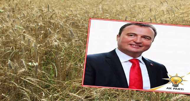 “Filizlenmiş dane oranı yüzde 10’a çıkarıldı”