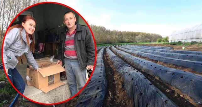 Çilek Projesi Pınarhisarlı üreticilerle buluştu