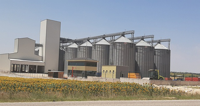Pınarhisar’da 2018-2019 yılı buğday hasat dönemi başladı