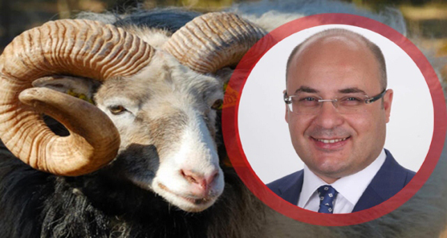 Göç; “Kurban Bereketi yaşanacak”