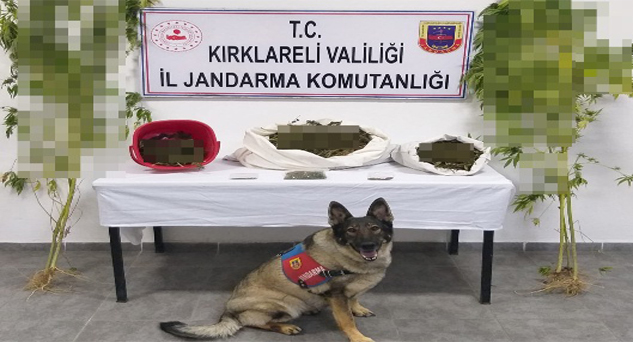 Jandarma’dan suçüstü