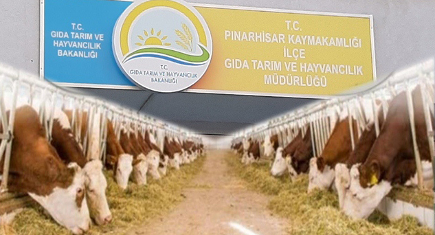 Düve alım desteği başvuruları başladı