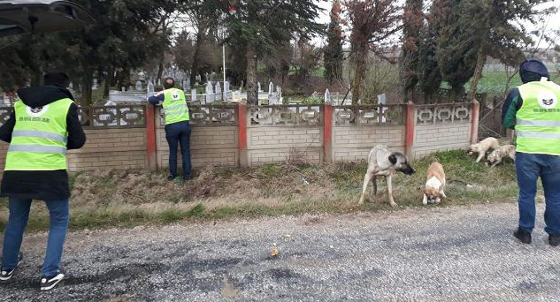 Sokaktaki canlar da besleniyor