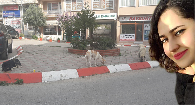 Pınarhisar’daki sokak hayvanlarına da hayat oldular