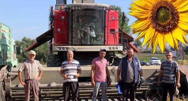 Ayçiçek avans fiyatları açıklandı