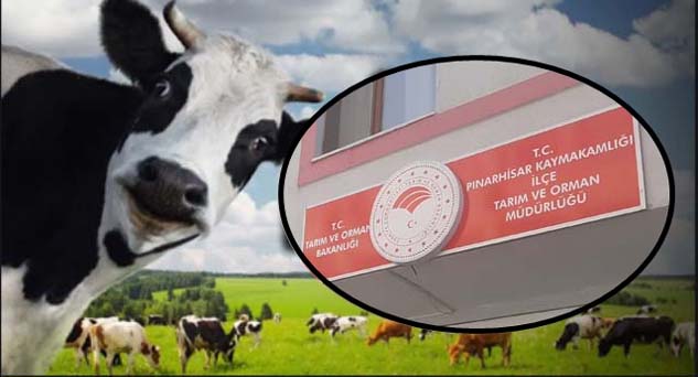 Meraların dinlendirme dönemi 1 Kasım’da başlıyor