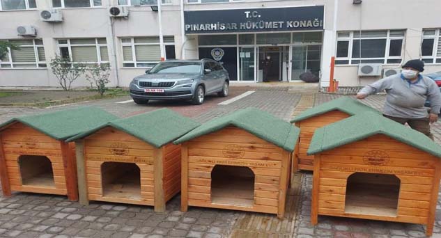Canlar her şeyin en iyisine layık