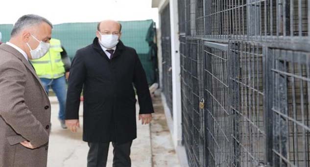 Kapatılan hayvan barınağını inceledi