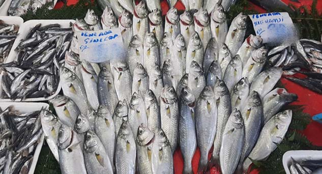 Balık tezgahları hafta sonu açık