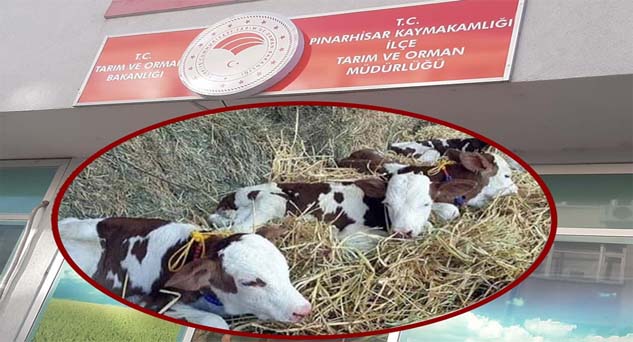 Askı süresi yarın son gün