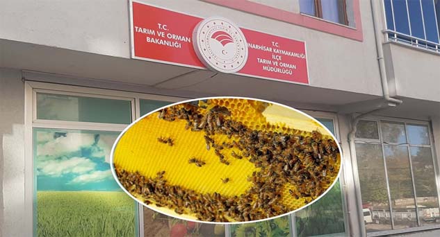 Arılı Kovan Desteklemesi İcmalleri askıda