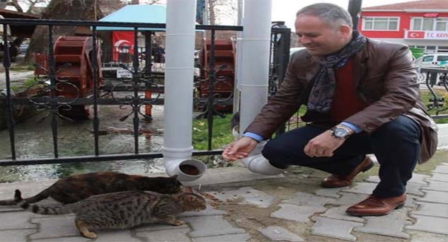 Sevimli dostlarımıza sahip çıkalım
