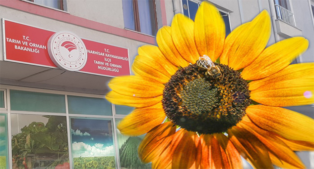 Son teslim tarihlerine dikkat