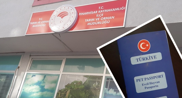 Hayvan pasaportları dijital ortamda