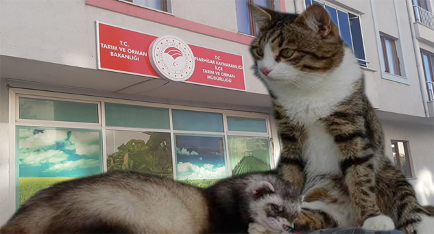 Uygulama 2022’de başlayacak