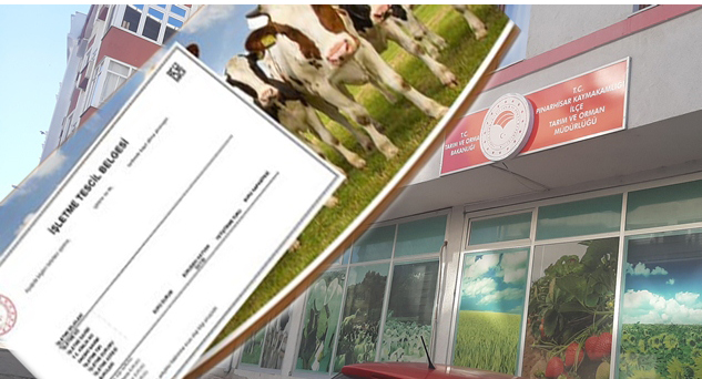 Dijital ortamda İşletme Tescil Belgesi alma fırsatı