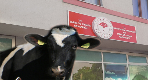 % 50 Hibe Desteği başvuruları başladı
