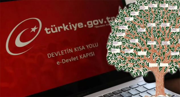 Tek tıkla soyağacınızı sorgulayın