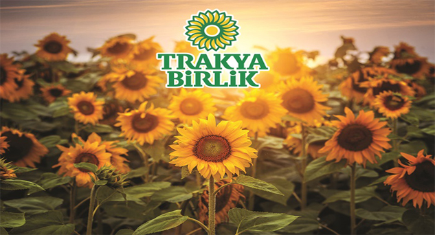 Ayçiçeğinde avans fiyat 5 bin 100