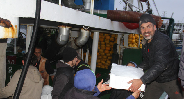 Balıkçıların yüzü “Hamsi” ile güldü
