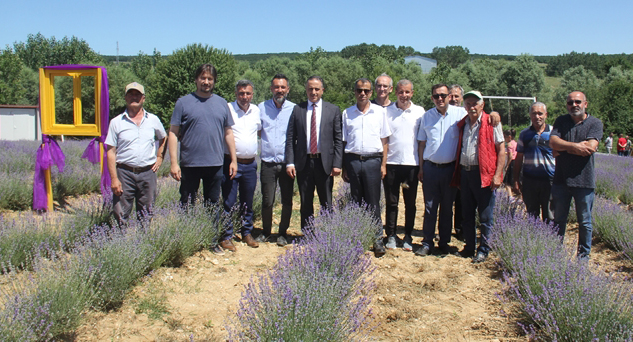 “Mor Vadi Lavanta Bahçesi” açıldı