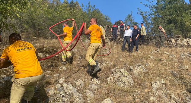 Yangında 25 hektar zarar gördü