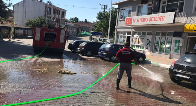 Temizlik avcıları iş başında