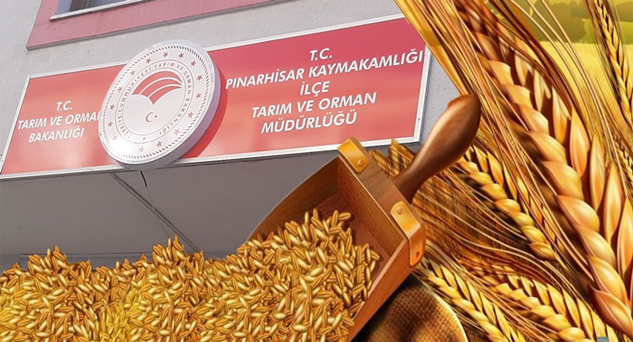Ton başına 5 bin 250 TL