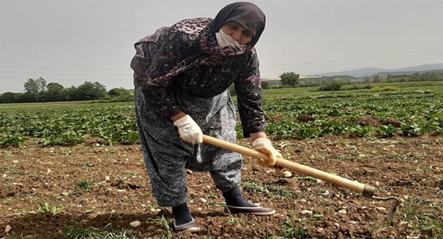 Kadın çiftçiler yarışacak
