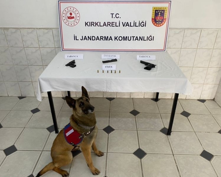 Kırklareli Jandarmasından suç ve suçluya geçit yok