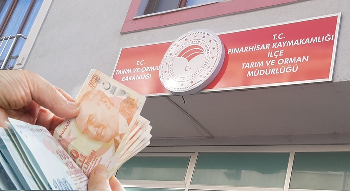 Yağlı tohumlu bitkiler fark ödemesi desteği üreticilere bugün ödenmeye başlıyor
