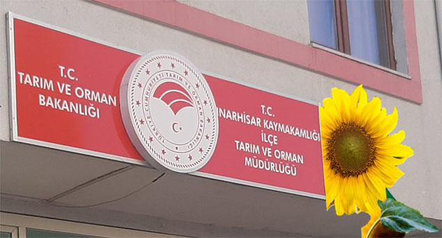 2022 Yılı Yağlı Tohumlu Bitkiler Fark Ödemesi Desteklemeleri icmali askıya çıktı