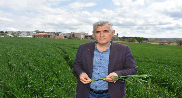 Prof. Dr. Kaya: Bitkileri besin maddesi vereceğiz diye zehirliyoruz