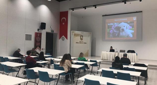 Can dostların koruyucu melekleri