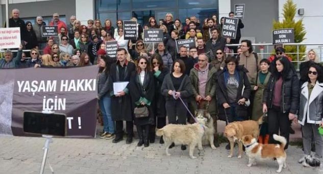 Köpük için “adalet” istediler