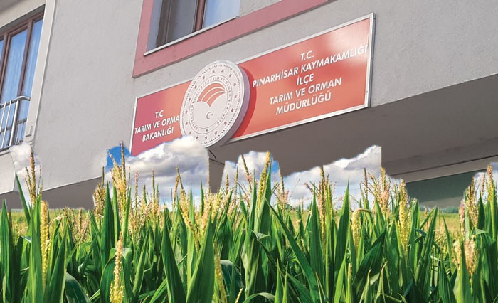 Kırklareli ili 2022 yılıHububat-Baklagil ve Dane Mısır Fark Ödemesi Desteği icmalleri askıya çıktı