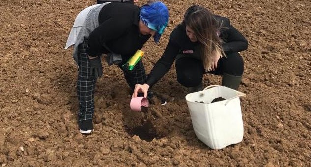 Balkabağı tohumları Vize’de toprakla buluştu