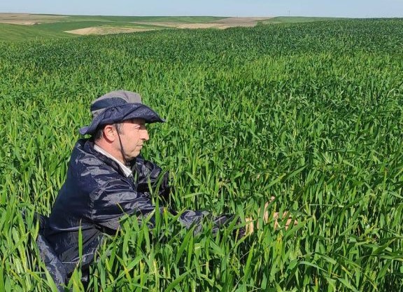 Babaeski’de sürvey çalışmaları 3 ayrı grupta devam ediyor