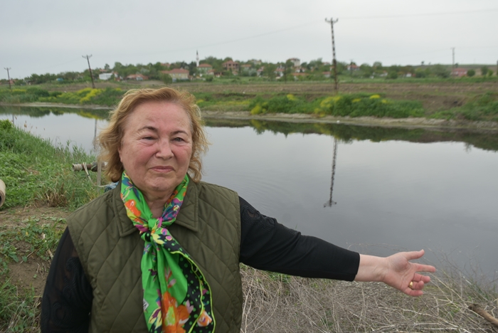 Ergene Nehri'nin suyu 3'üncü derece kirli çıktı