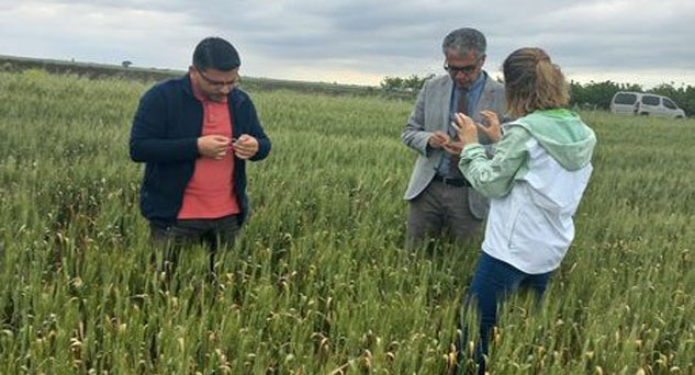 “Pas hastalığına karşı bir an önce ilaçlayın” önerisi