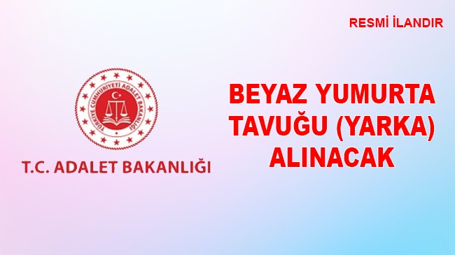 BEYAZ YUMURTA TAVUĞU (YARKA)
