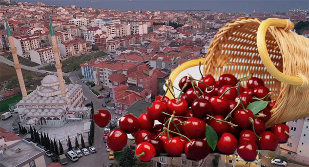 Tekirdağ Kiraz Festivali yarın başlıyor