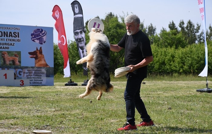 Lüleburgaz’daki şampiyonada 640 köpek ve sahipleri yer aldı