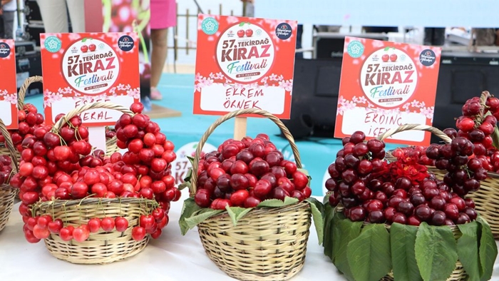 Tekirdağ’ın en iyi kirazları seçildi