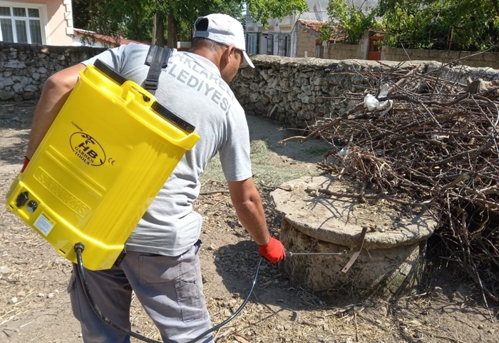 Kırklareli’nde dantel böceği, larva ve sivrisineklerle mücadele