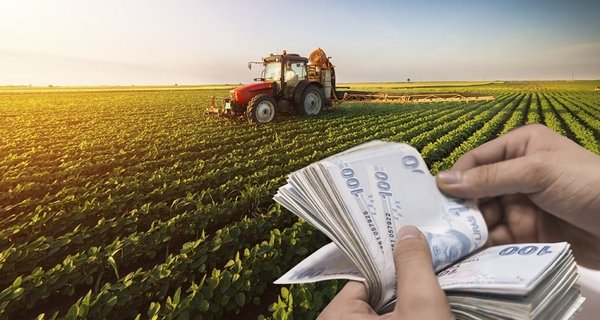 Hibe desteği almaya hak kazananlardan istenecek belgeler